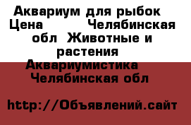 Аквариум для рыбок › Цена ­ 200 - Челябинская обл. Животные и растения » Аквариумистика   . Челябинская обл.